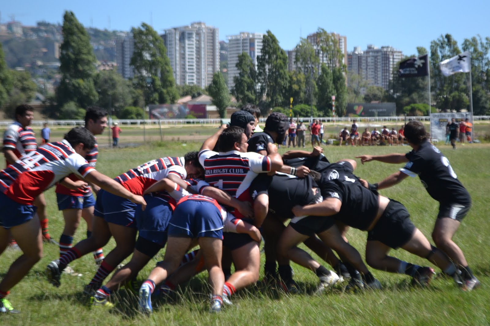 Comienza el Top 14